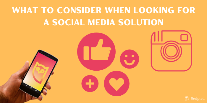 What to Consider When Looking for a Social Media Solution