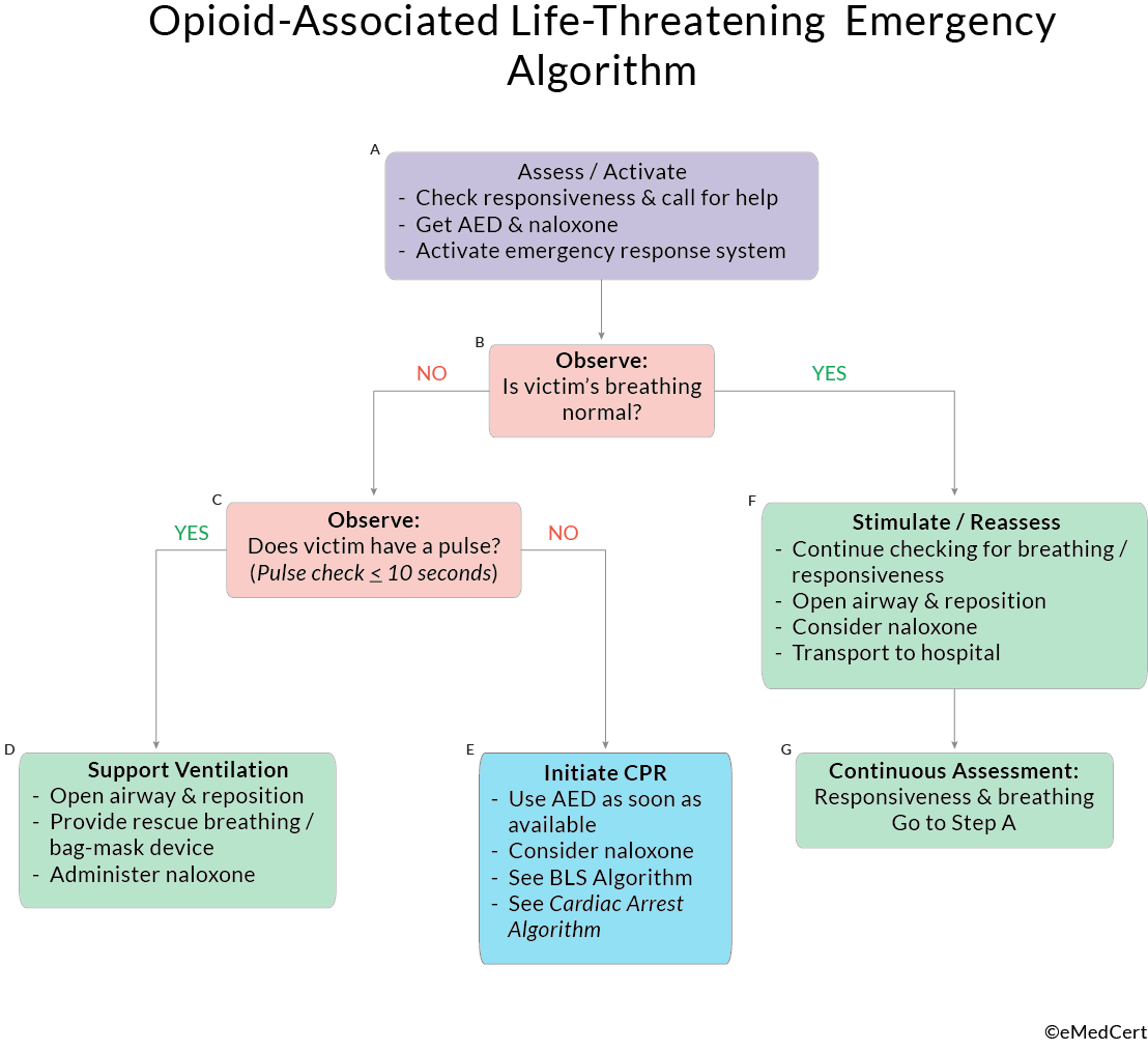 ACLS Algorithms Review: Opioid-Associated Life-Threatening Emergency Algorithm