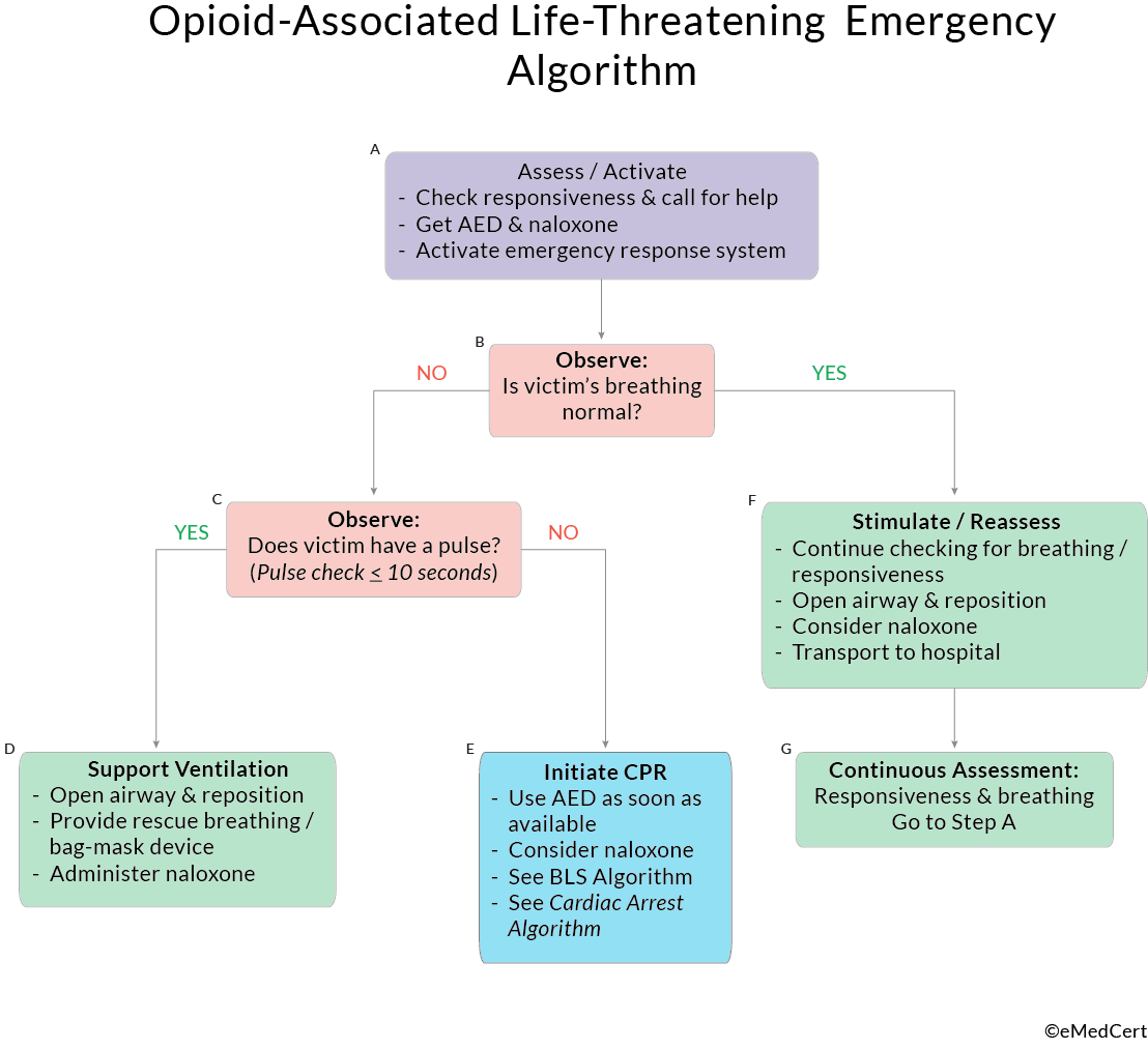 ACLS Algorithms Review OpioidAssociated LifeThreatening Emergency