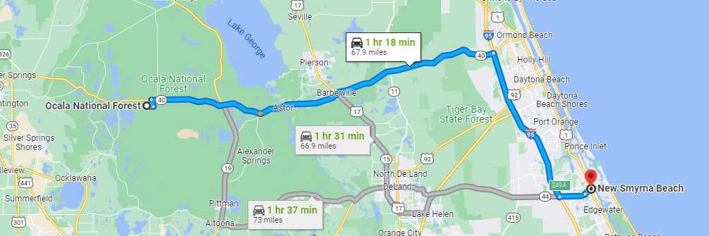 Daytona-ocala-forest-map.webp