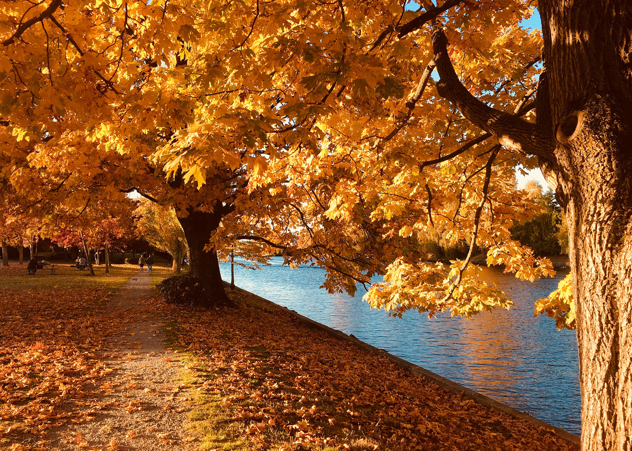 6 Best Fall Activities in the Twin Cities