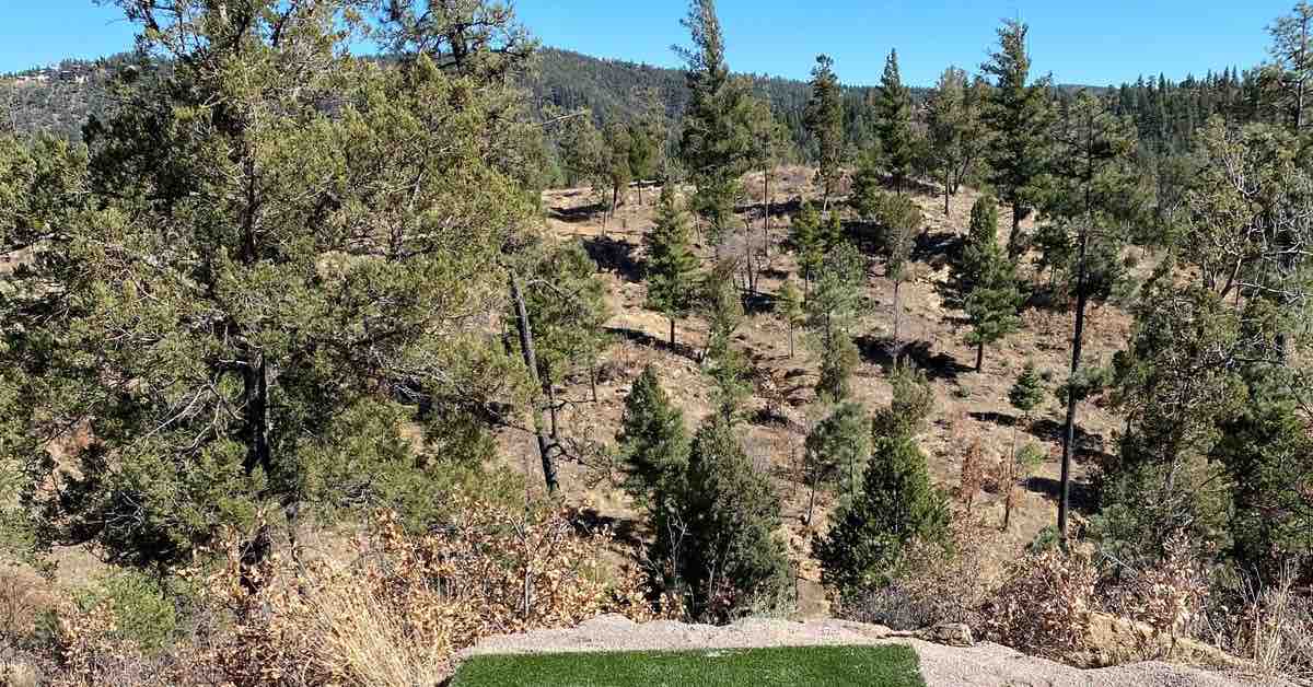 A view of dry ground, evergreen trees, and mountains in New Mexico