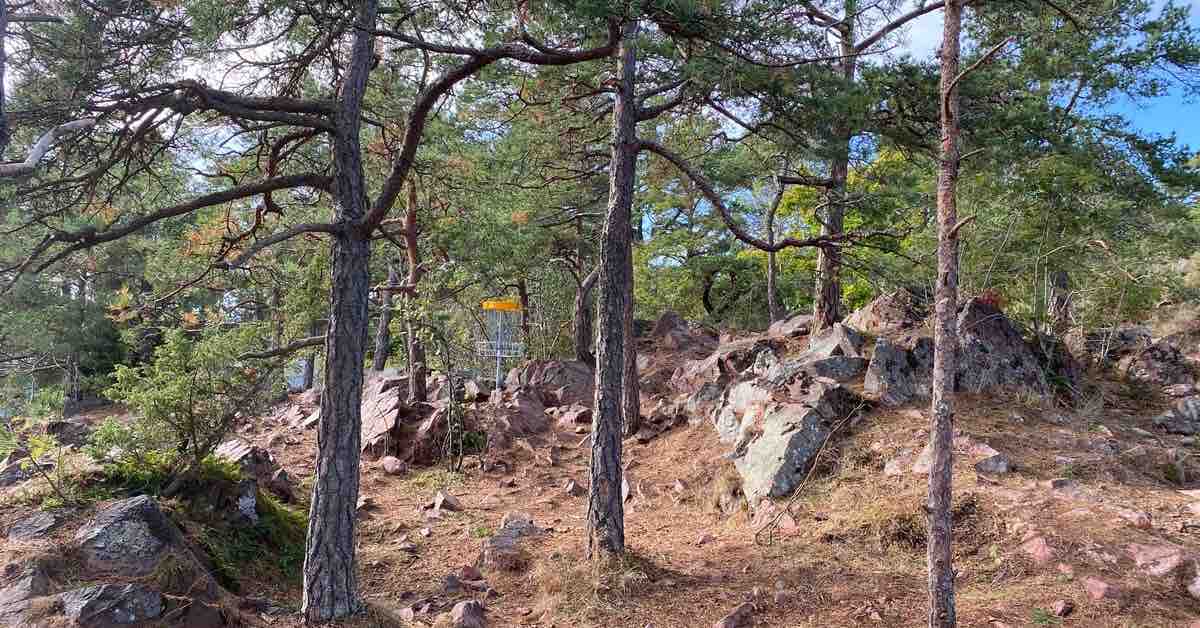 A disc golf basket in a rocky landscpe with skinny trees