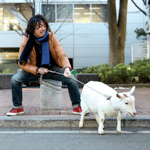 株式会社バーグハンバーグバーグ シモダ テツヤ おもしろコンテンツで世の中に波紋を作る Jobshil