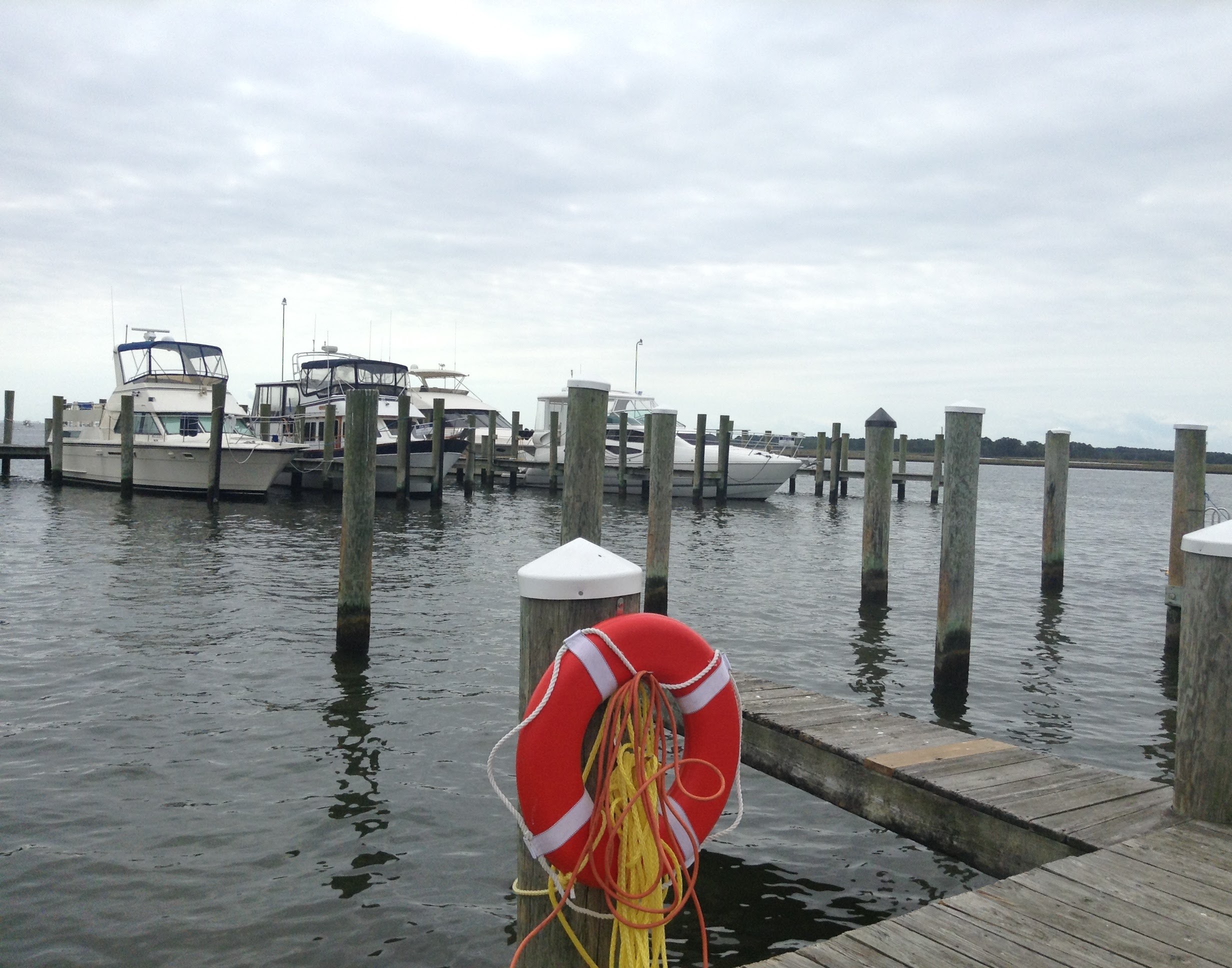 D9KUxXUlQauNA7J35Rq1