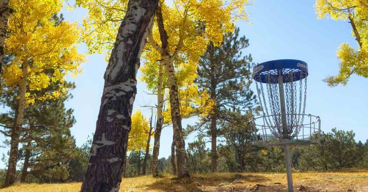 A blue-banded disc golf basket with birches in fall yellow aorund it