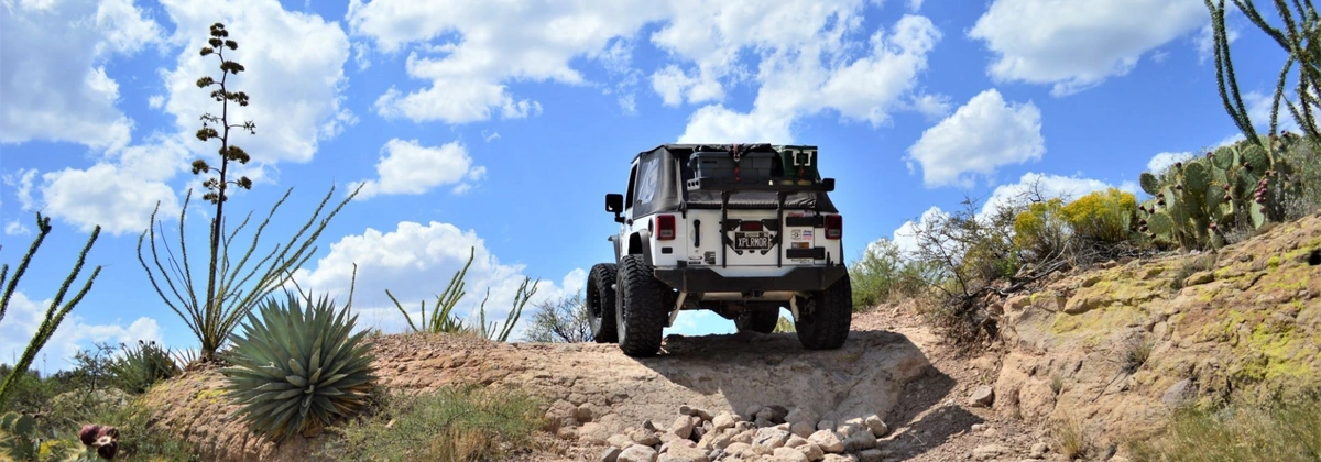 Jeep Wrangler on Rug Road in Mammoth