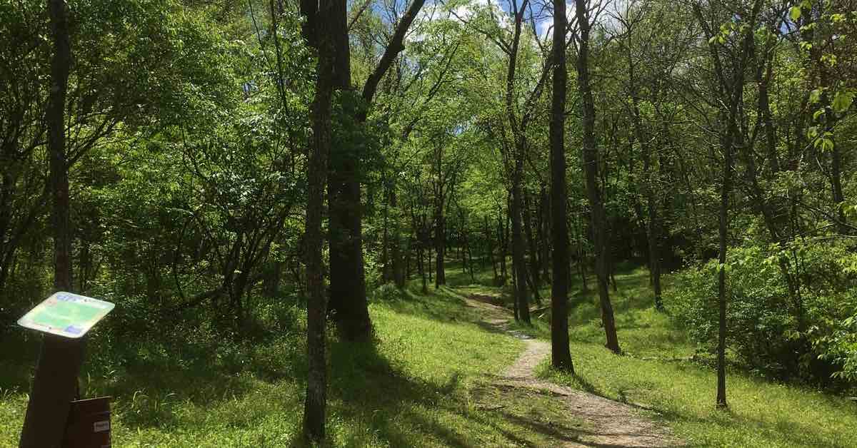 A grassy fairway with a well-worn footpath winds through otherwise tight woods