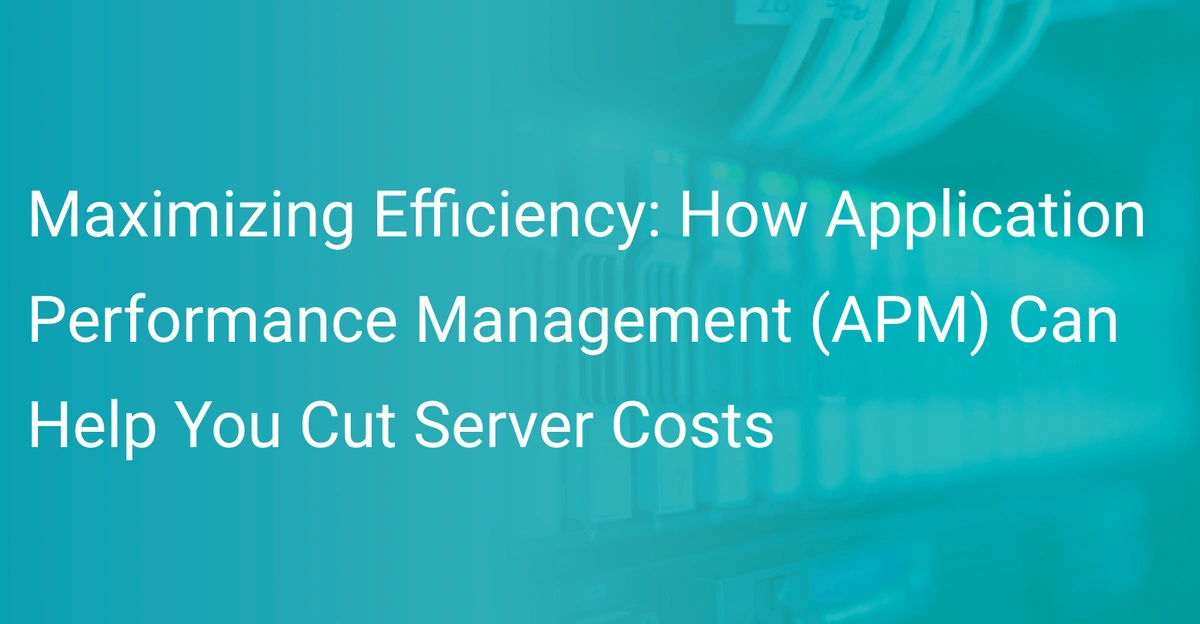 Maximizing Efficiency How Application Performance Management APM