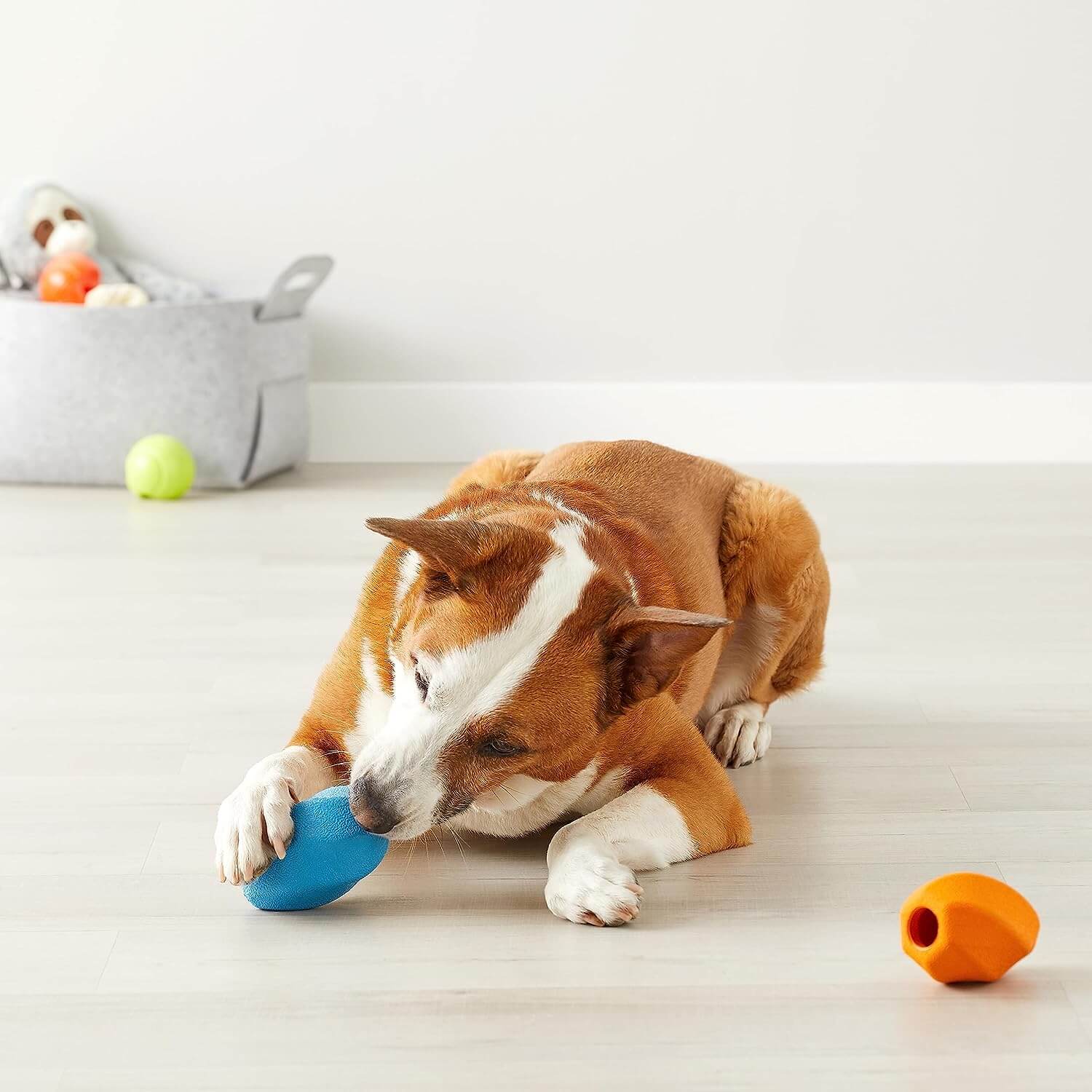 Best Durable Dog Toys For Heavy Chewers
