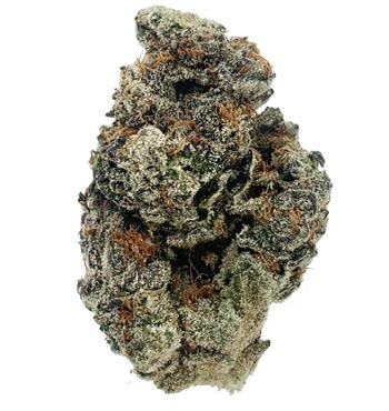 Marijuana Strain Profiles | MAMA'S GANJA