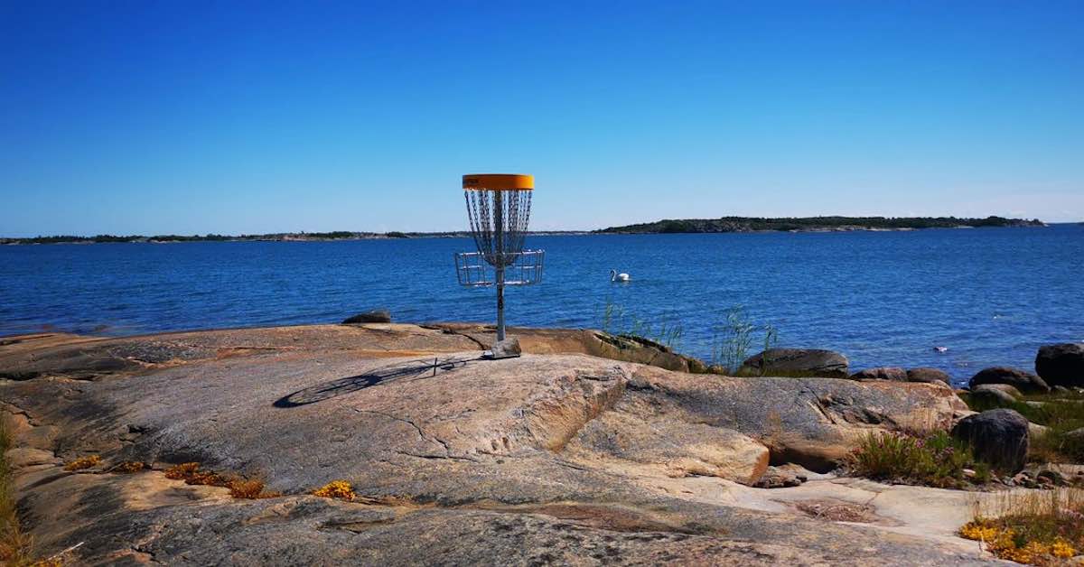 A disc golf basket on rock near water with a swan swimming in it