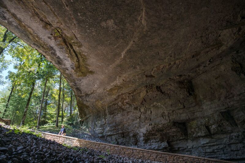 Experience the Natural Wonders of Alabama.