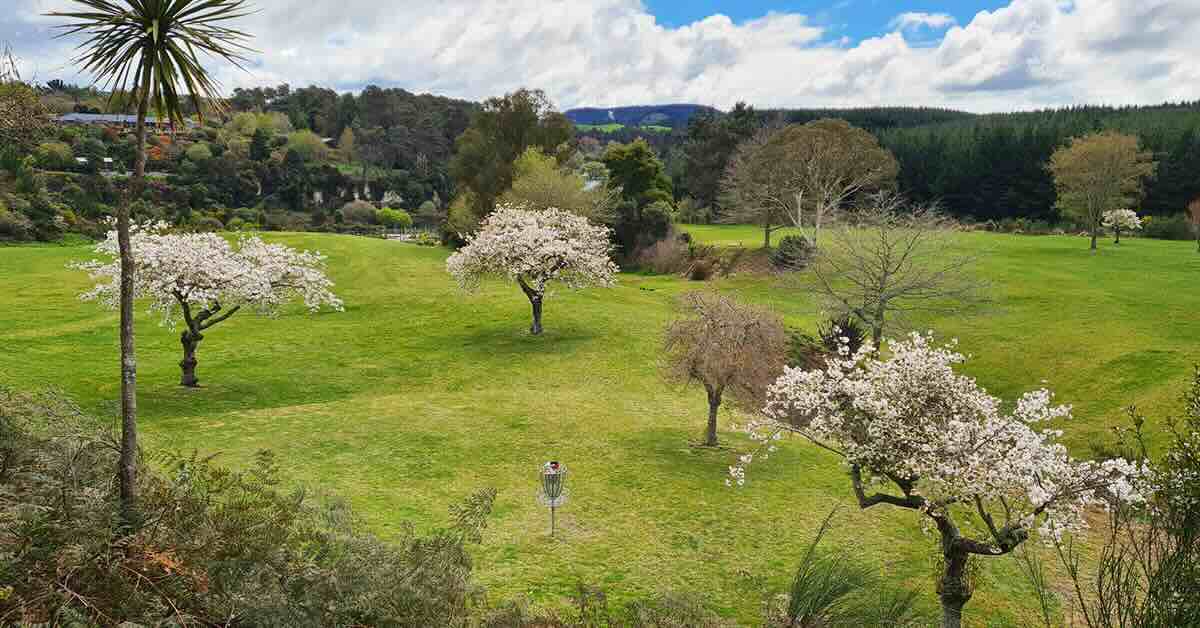 A photo from above of blooming trees and a well-mown area with a disc golf basket and hilly, tree-covered landscape in the distance