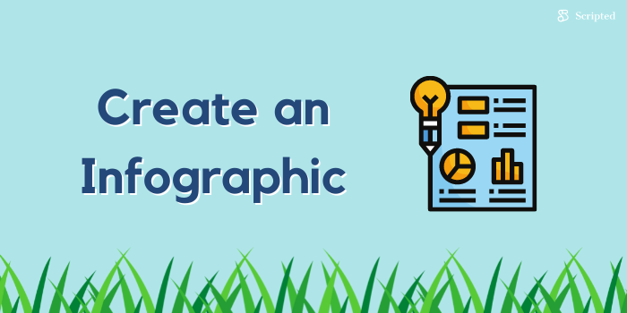 Create an Infographic