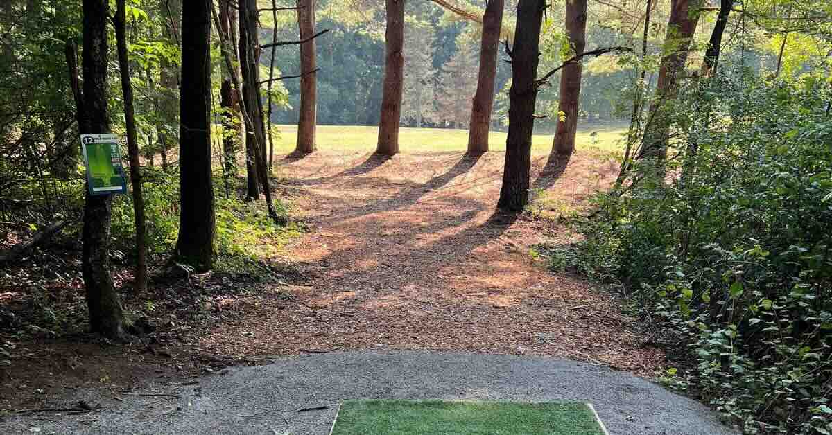 A turf disc golf tee pad in a wooded area with a more open fairway beyond the trees