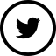 iconfinder_Twitter_194909.png