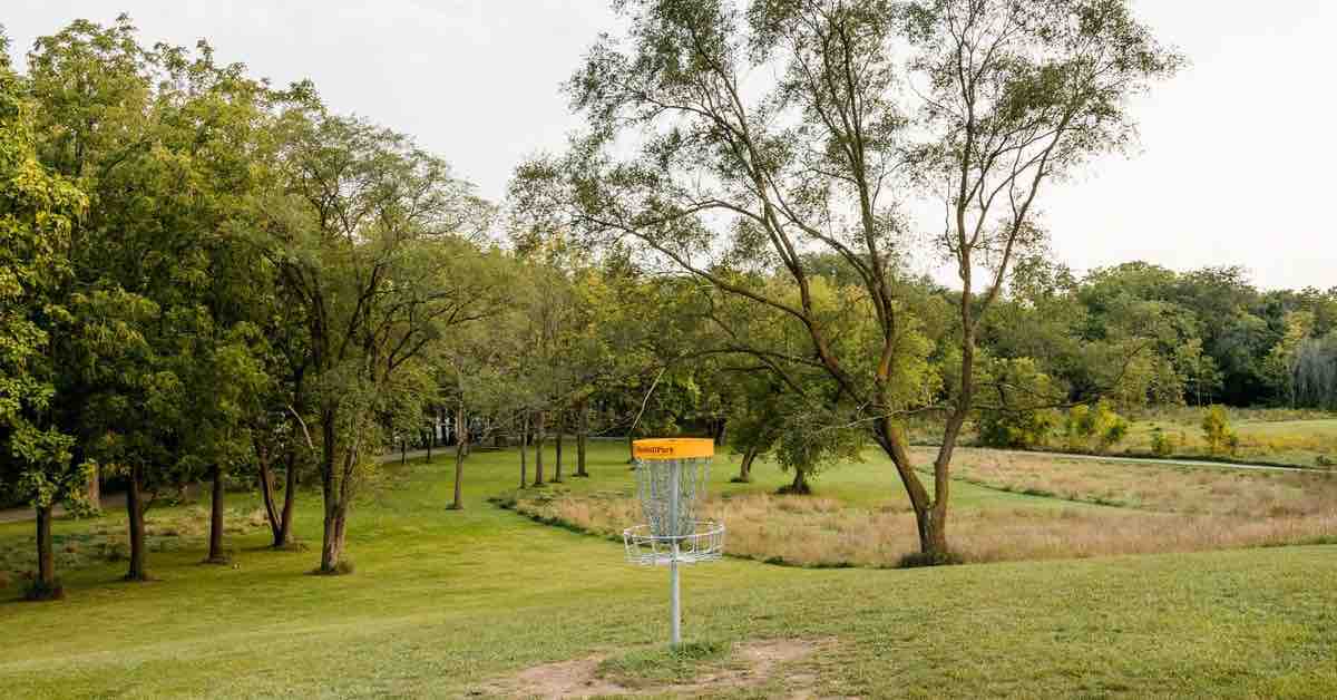 Disc golf basket in cared for area with mixed mature trees and mowed grass
