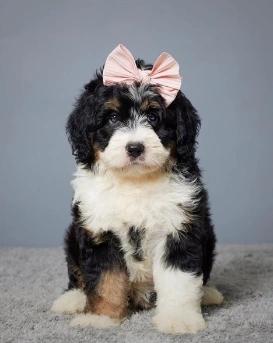 Screen Shot 2023-10-10 at 3.14.45 PM.webp