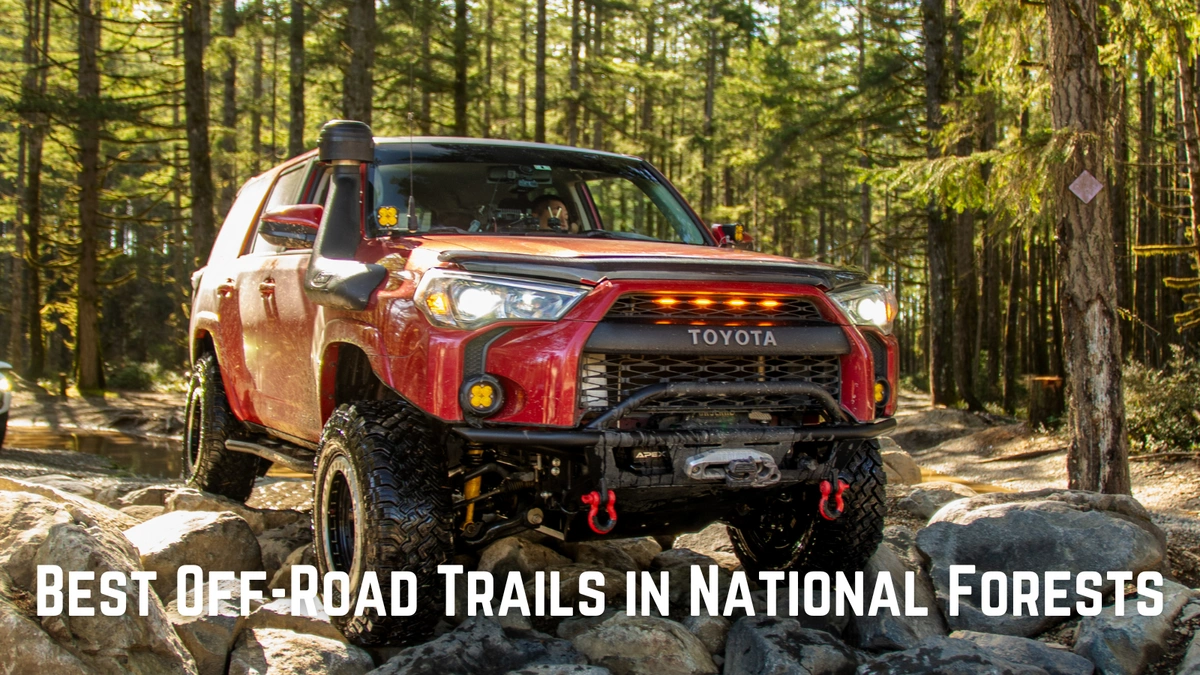 Best Off-Road Trails in National Forests: A Guide to Adventure Blog Image