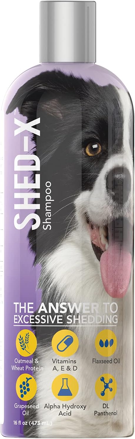 shedxshampoo.jpg