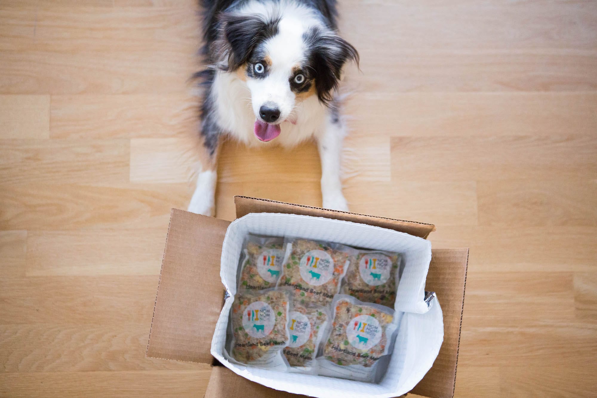 Fresh food for dogs, delivered - Nom Nom