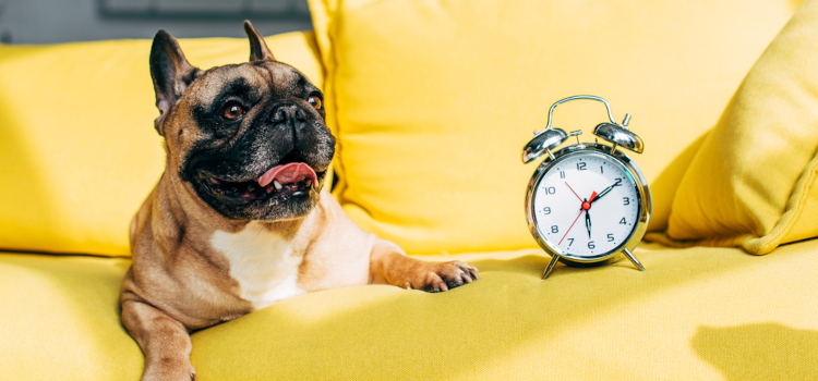 The Best Time of Year to Buy a House