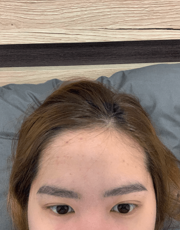 photo of eyebrows for the one month after getting an eyebrow embroidery