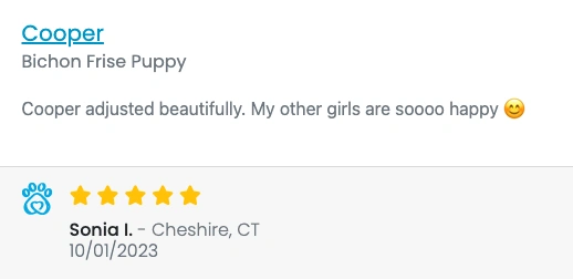 Screen Shot 2023-11-17 at 10.56.44 AM.webp