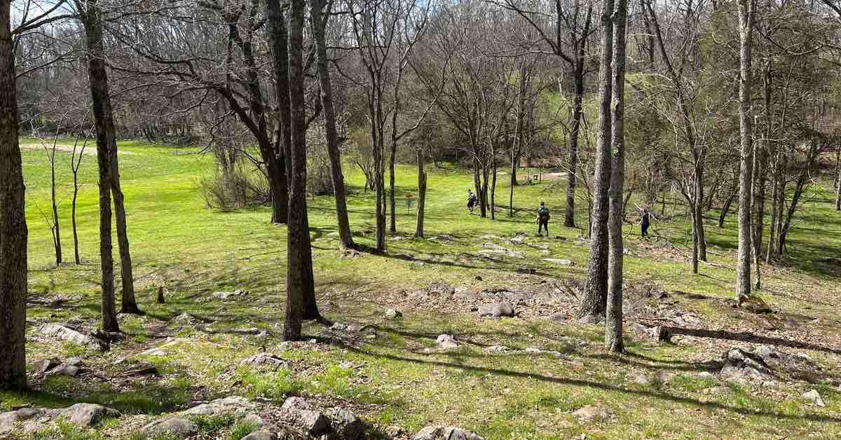 A sloping disc golf fairway with rocks and scattered trees