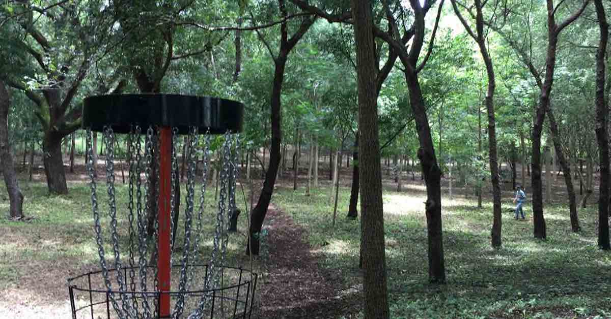top of a disc golf basket in a dim wooded area