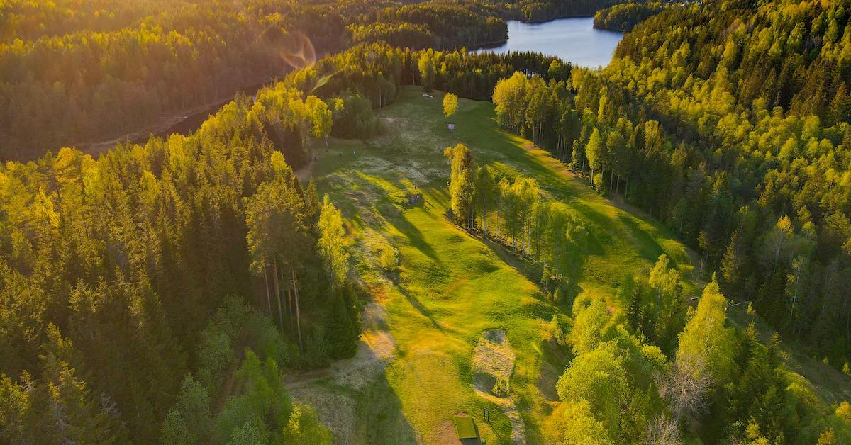 Disc golf course as seen from above with mown fairway among thick woods and water in the distance