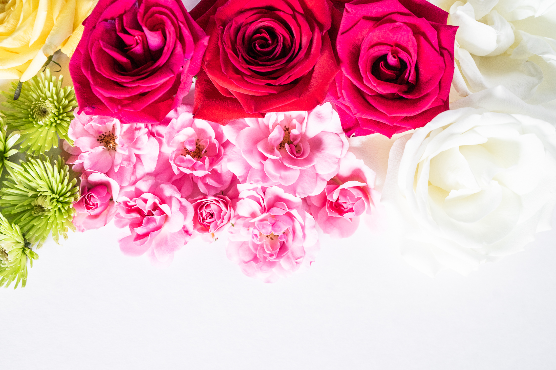 Which Flowers Symbolize Love?