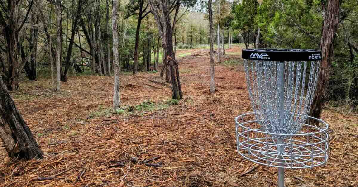  A disc golf basket in a freshly cut wooded areas
