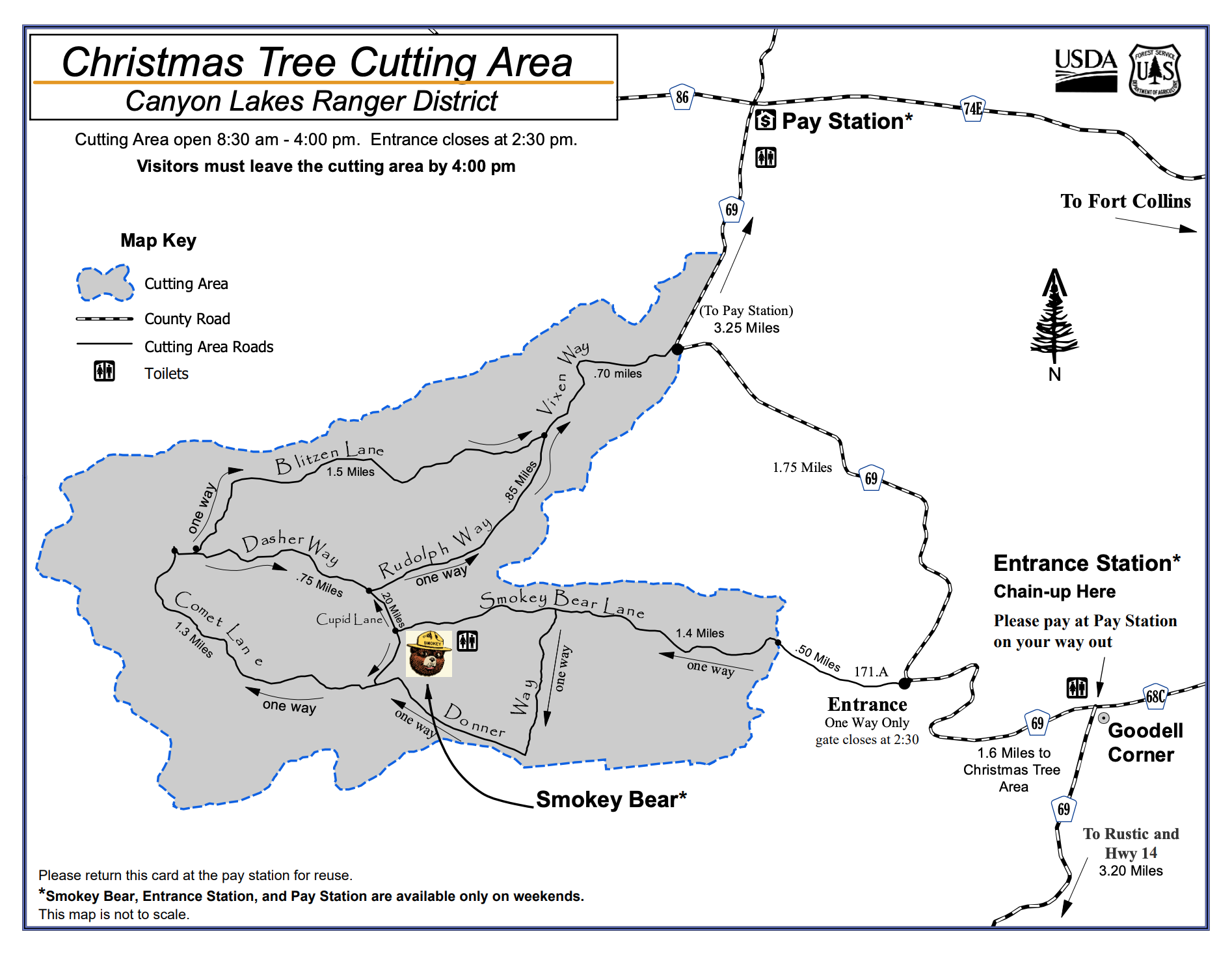 Cutting Down the Christmas Tree with Trails Offroad Trails Offroad