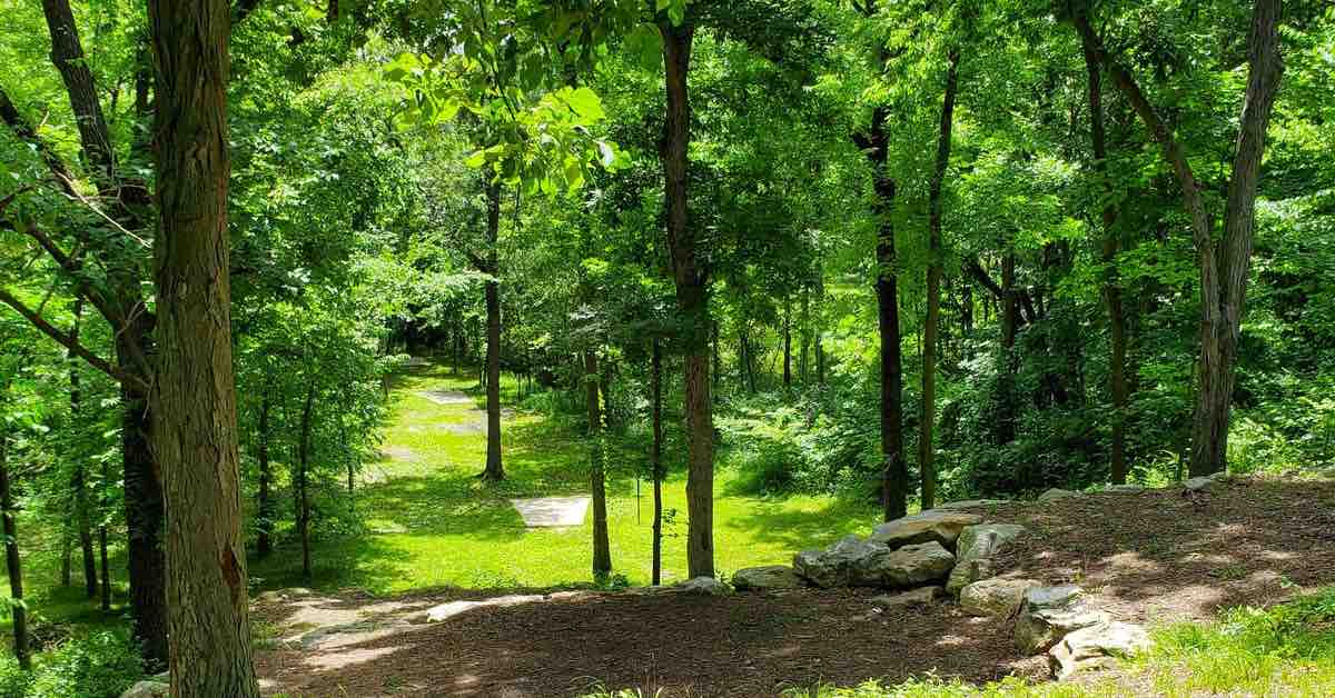 A view from a high hill down a tightly wooded disc golf fairway