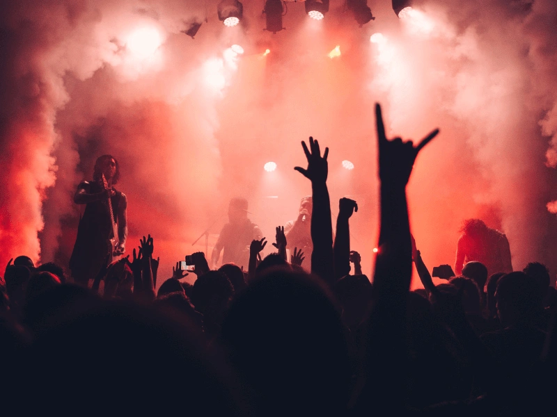 Fans at concert.webp