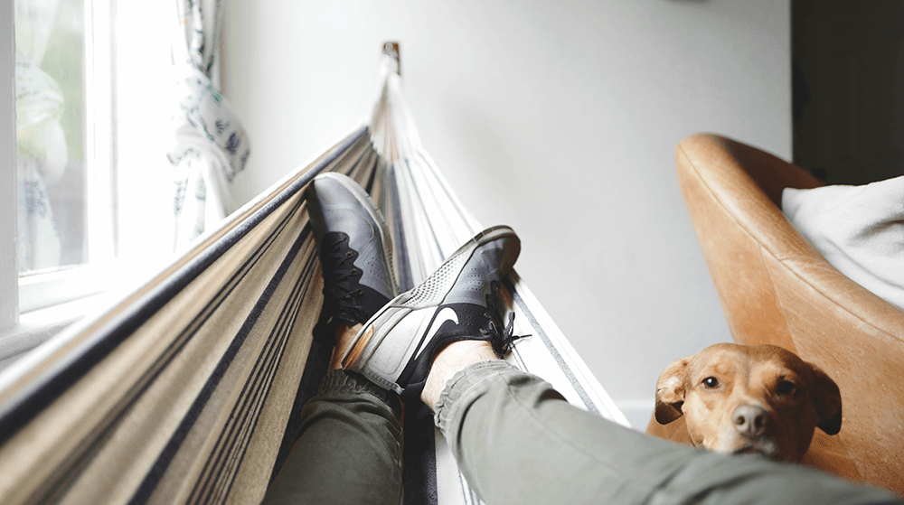 Man lying in hammock with dog watching