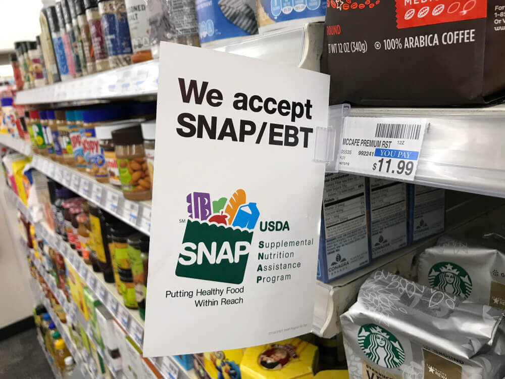 snap food stamps florida