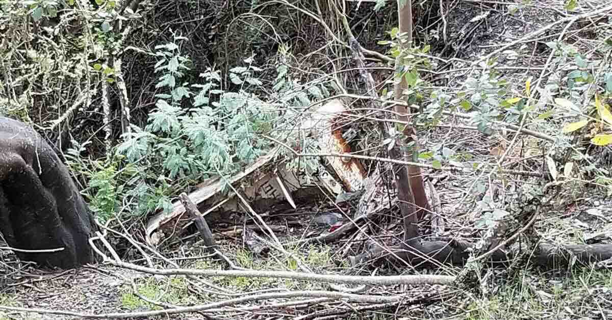 A rusted old refrigerator in thick brush