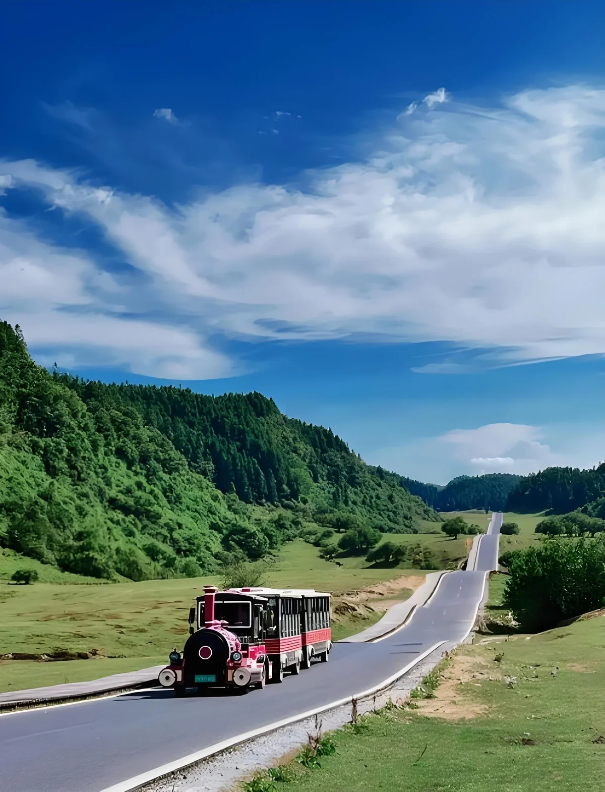 仙女山國家森林公園
