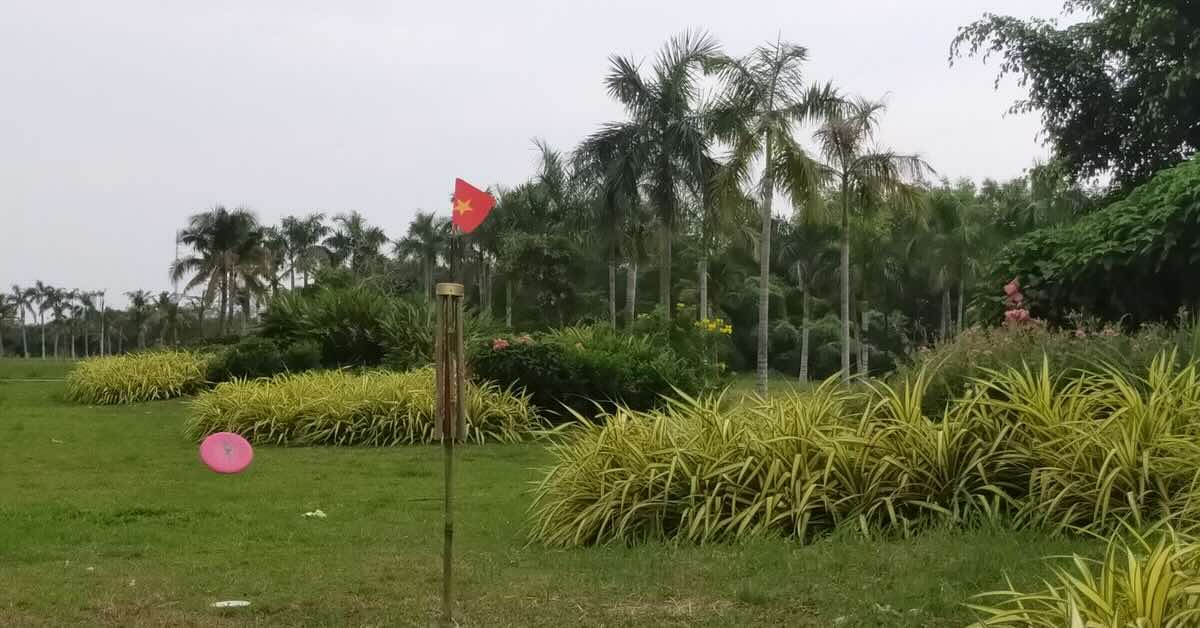 A disc golf target made of bamboo with a disc flying toward it and palms