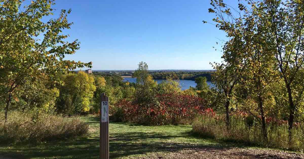 A disc golf fariways lined by young trees with view of lake in distance