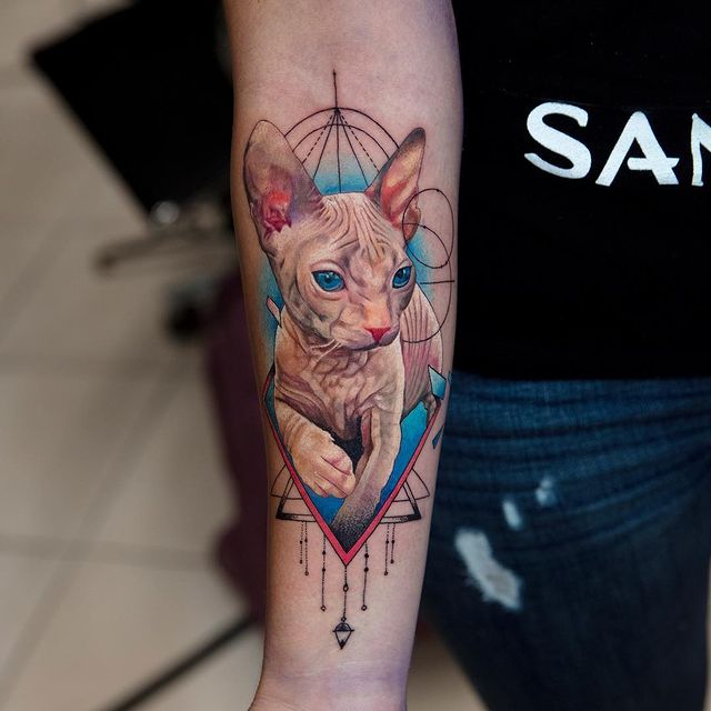 sphynx cat tattoo in realism