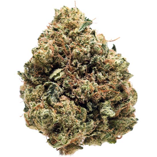 Larry OG Strain Profile | MAMA'S GANJA