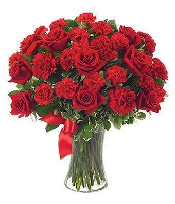 Red Carnations