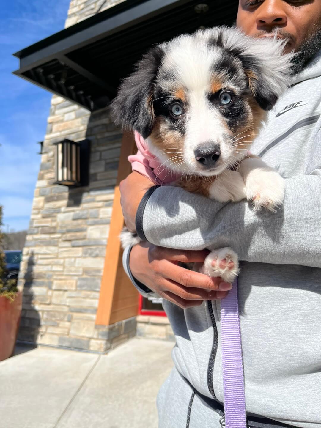 destiny.eevee (1).jpg