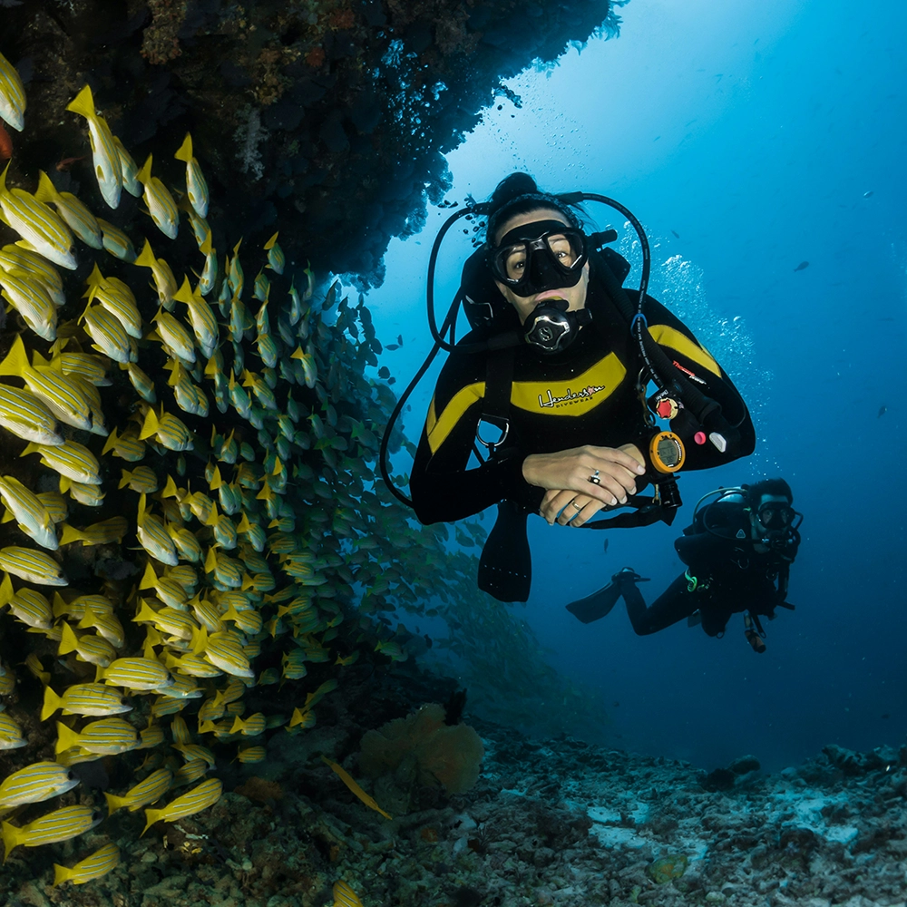 ScubaDivingMaldives.webp