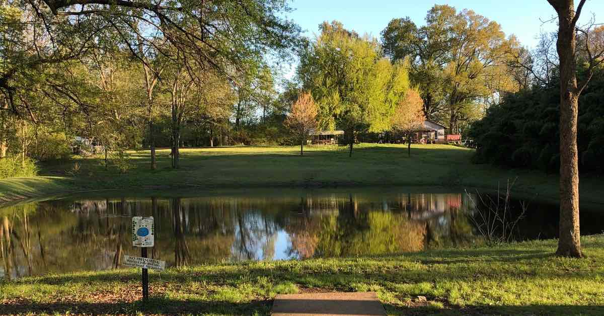 A small pond in a mostly open area with scattered trees