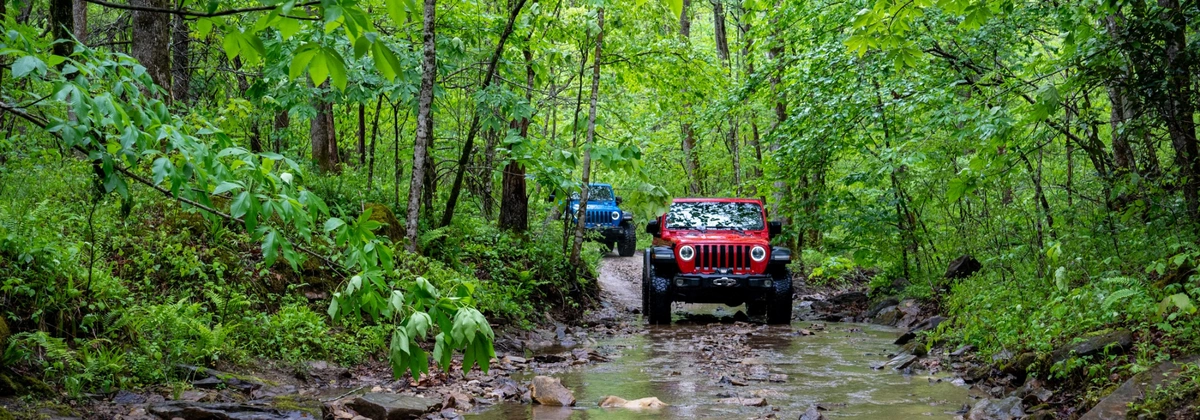New Virginia Ridge Road.webp